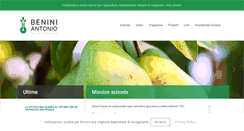 Desktop Screenshot of beniniantonio.com