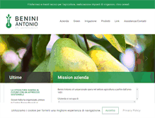 Tablet Screenshot of beniniantonio.com